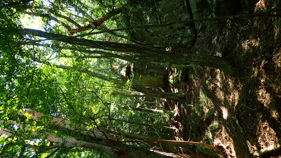 岩伏山5