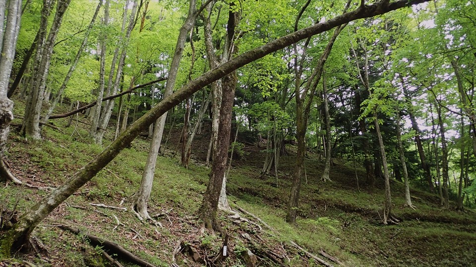 簗谷山4